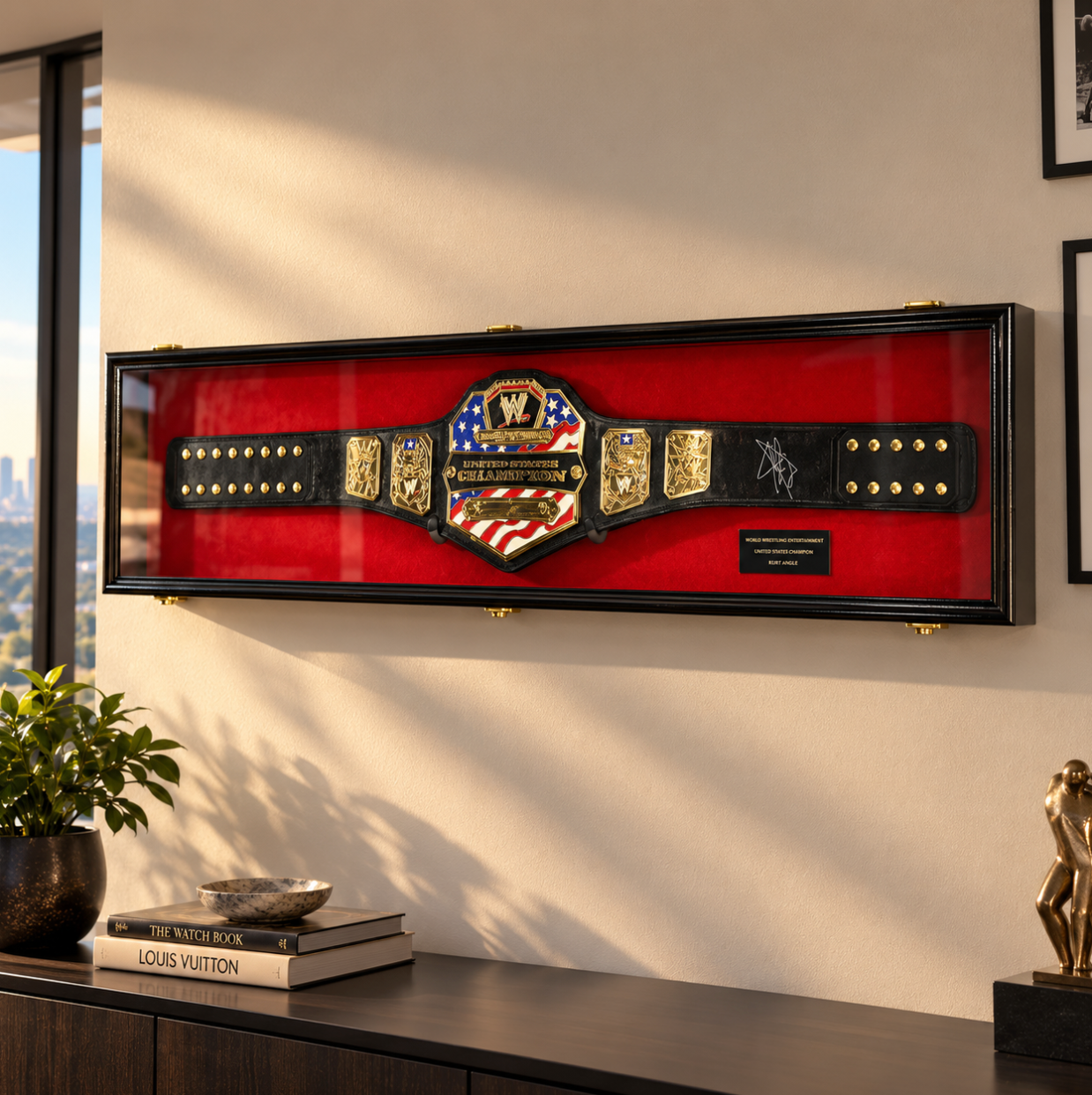 Wrestling Display Cases