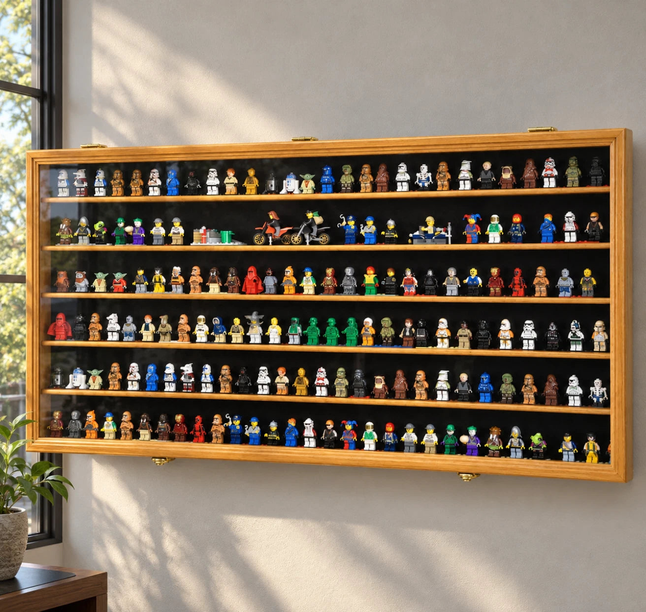 Collectibles Display Case